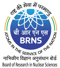 BRNS logo